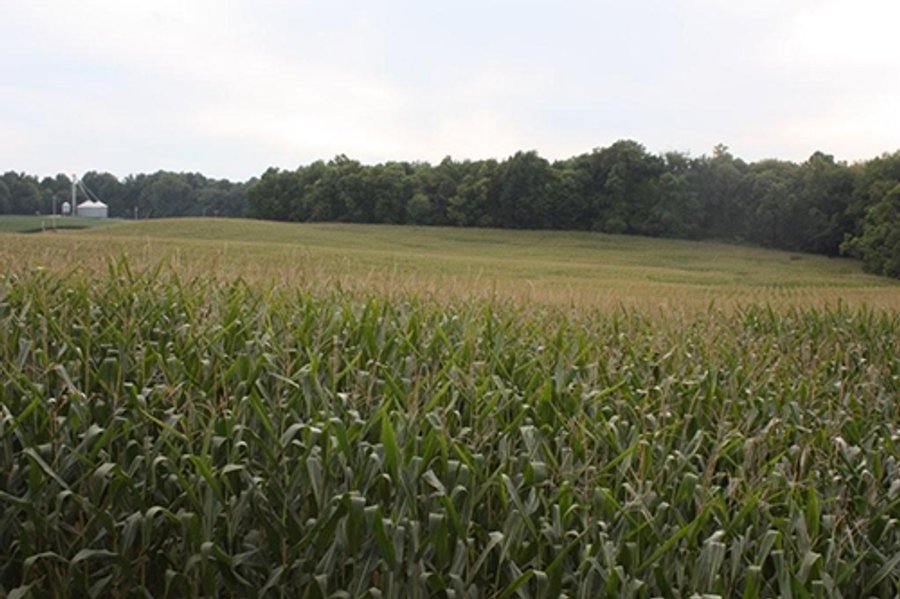 REAL ESATE AUCTION-128.4+/- ACRES OFFERED IN 6 TRACTS IN SPENCER COUNTY